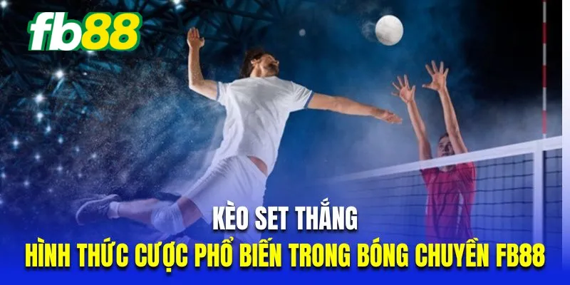 Kèo set thắng là hình thức cược phổ biến trong bóng chuyền Fb88