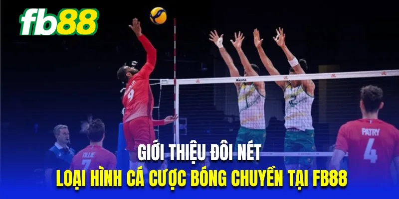 Giới thiệu đôi nét về loại hình cá cược bóng chuyền tại Fb88 Kèo set thắng là hình thức cược phổ biến trong bóng chuyền Fb88