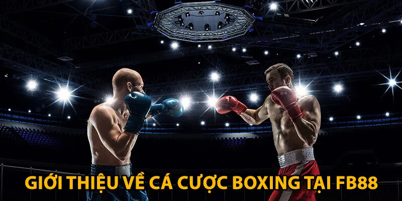 Boxing Fb88 đem lại những màn đấu mãn nhãn cho người xem