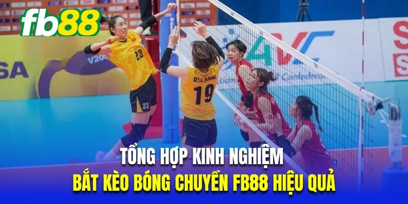 Tổng hợp kinh nghiệm bắt kèo bóng chuyền Fb88 hiệu quả